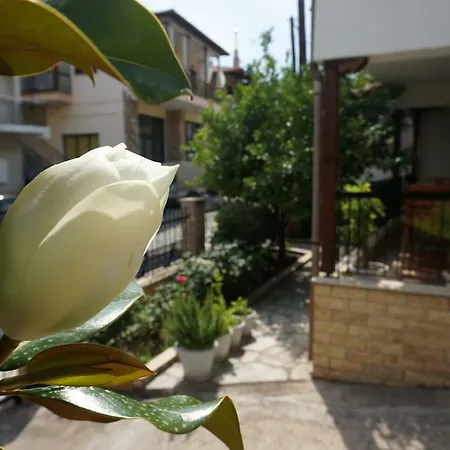 Magnolia アギオス・ニコラオス