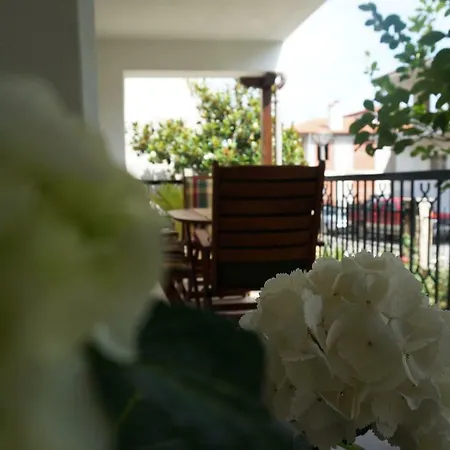 Magnolia Ágios Nikólaos