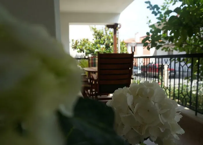 Magnolia Agios Nikolaos (Chalkidiki)