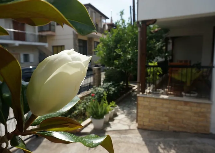 Magnolia Айос-Николаос